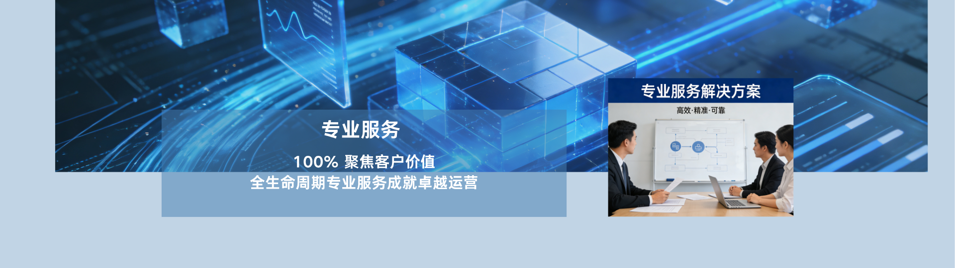 专业服务